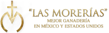 Las Morerías - Mejor Ganadería En México